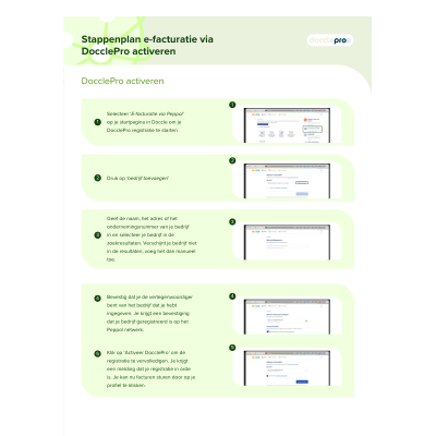 Stappenplan e-facturatie via DocclePro